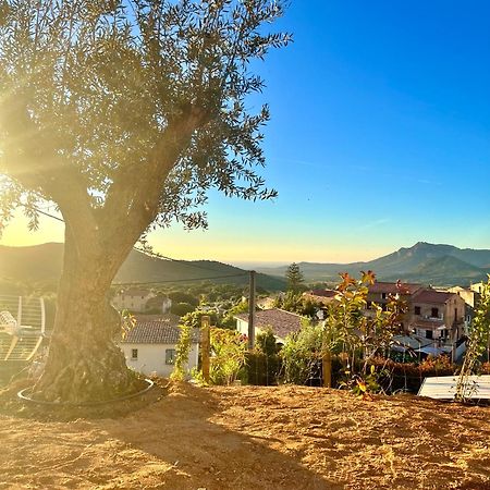 Bella Vita Calenzana Buitenkant foto
